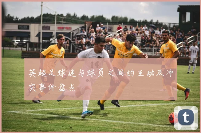 英超足球迷与球员之间的互动及冲突事件盘点